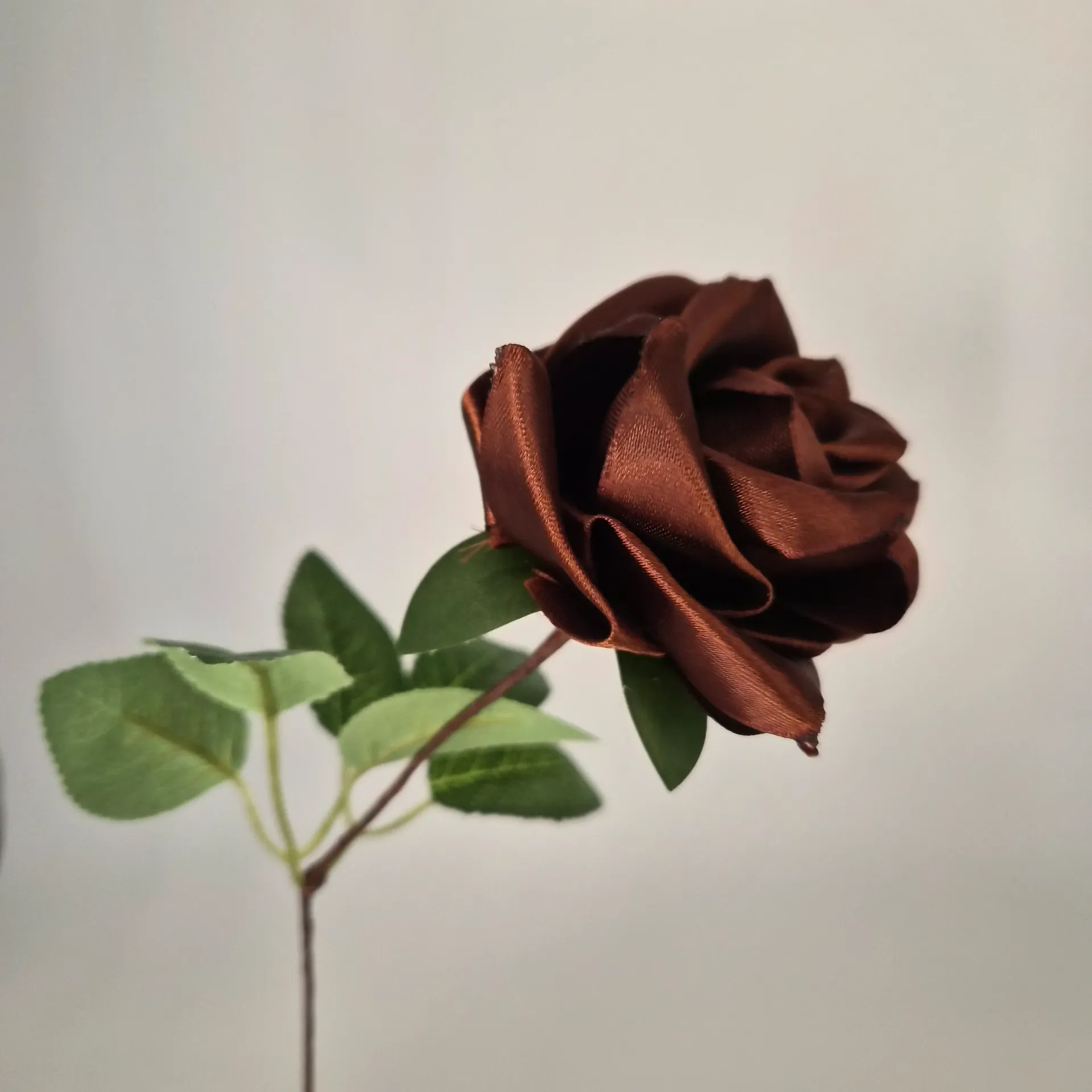 Rose Mini Marron