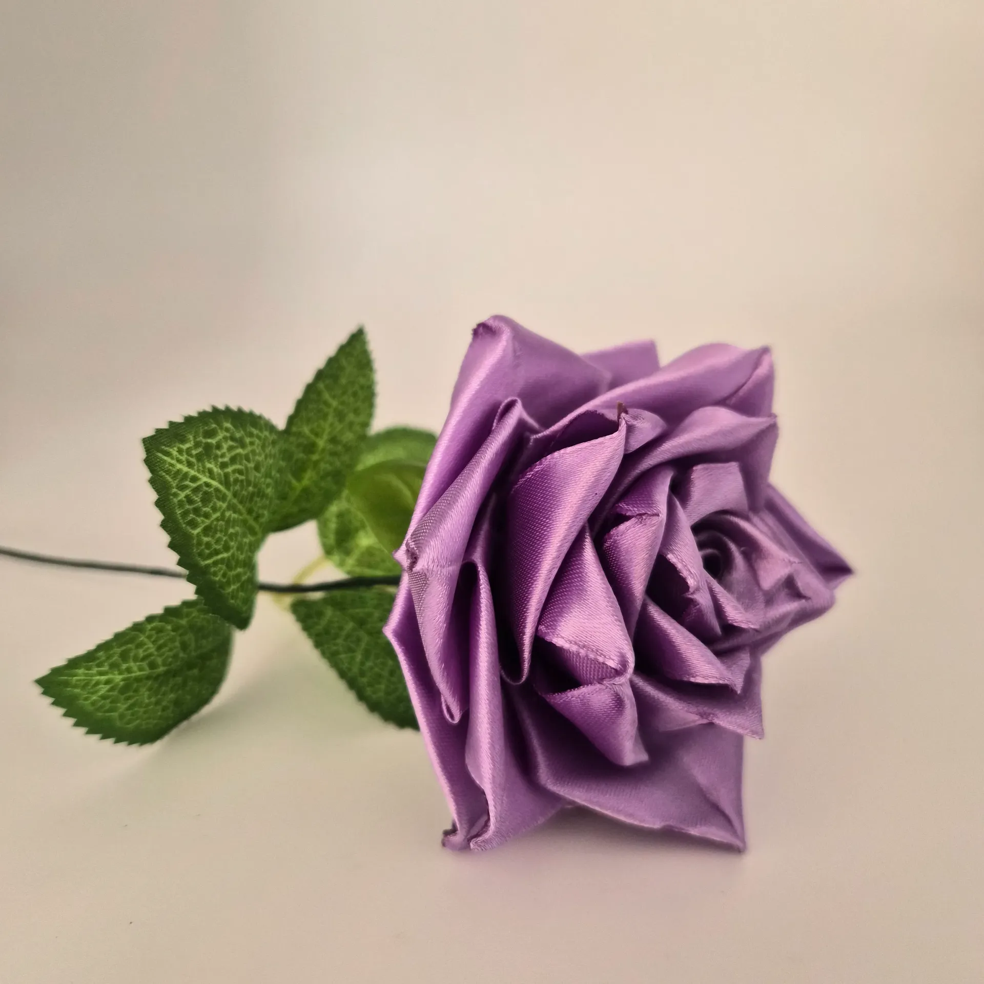 Rose Violette Bruyère