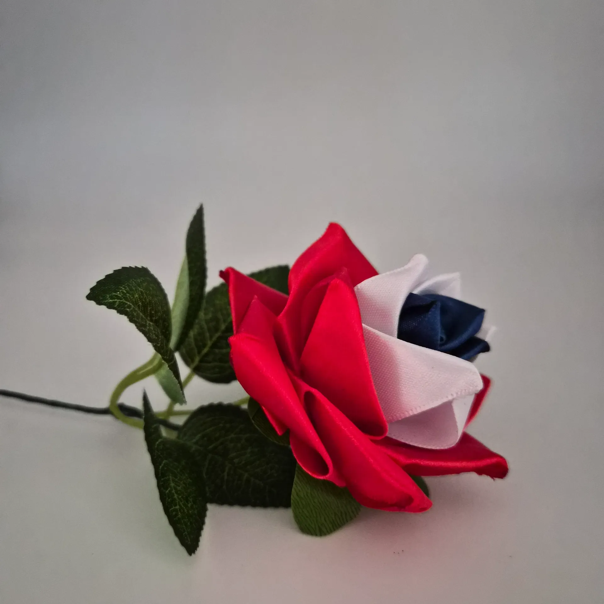 Rose Mini Tricolore