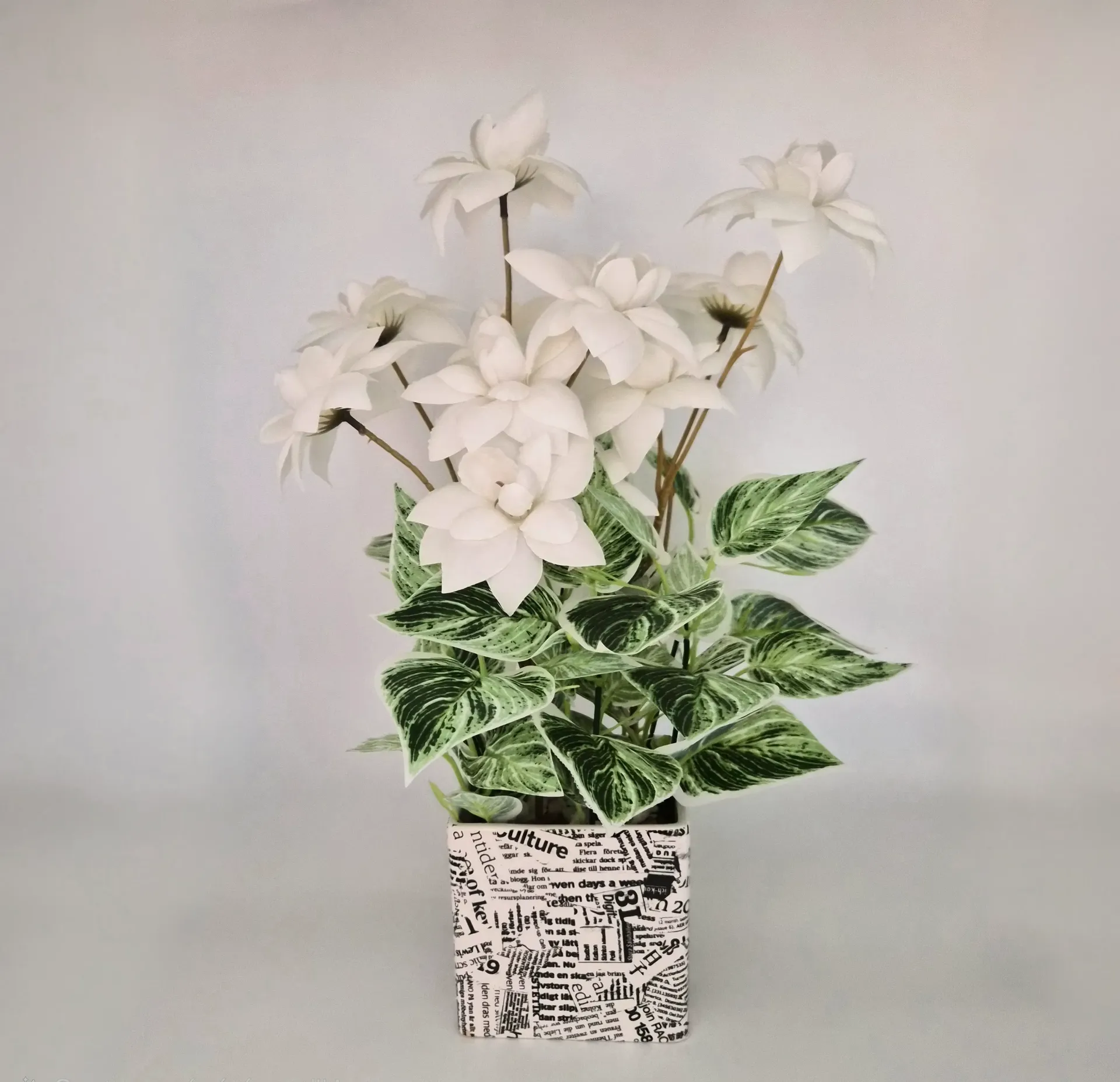 Dame Gardenia