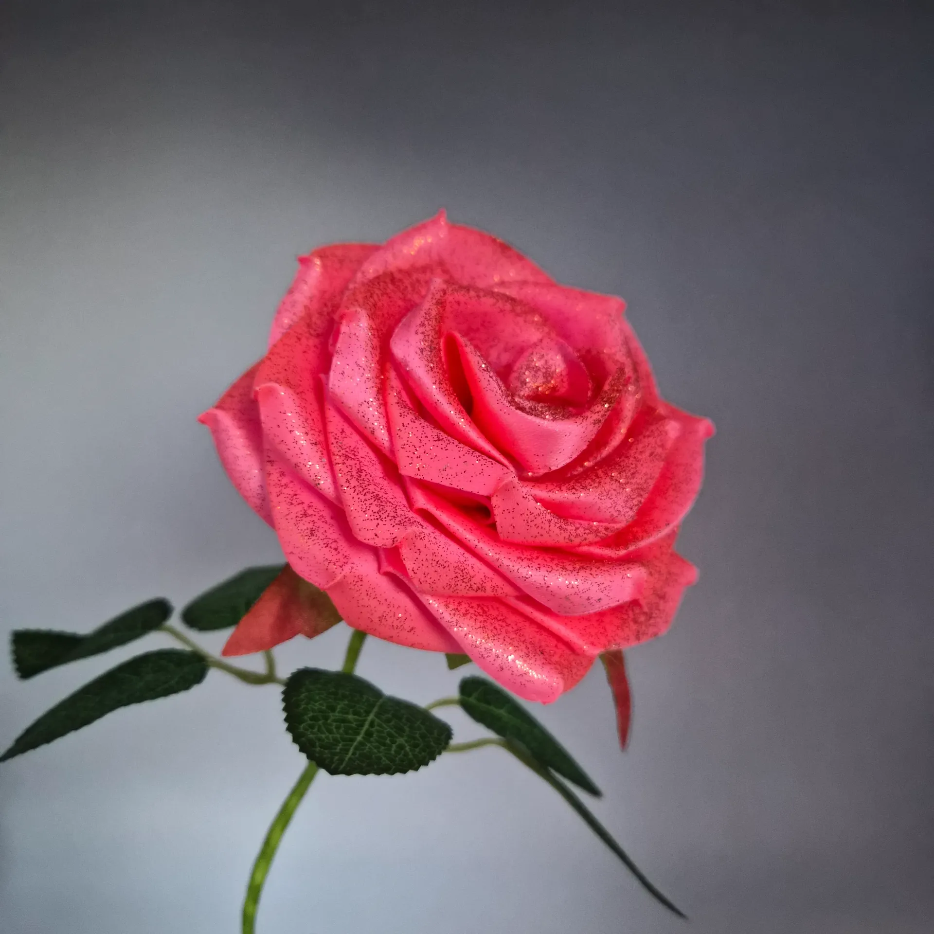 Rose Corail Néon de Noël